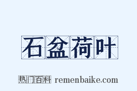 石盆荷叶是什么意思的图片